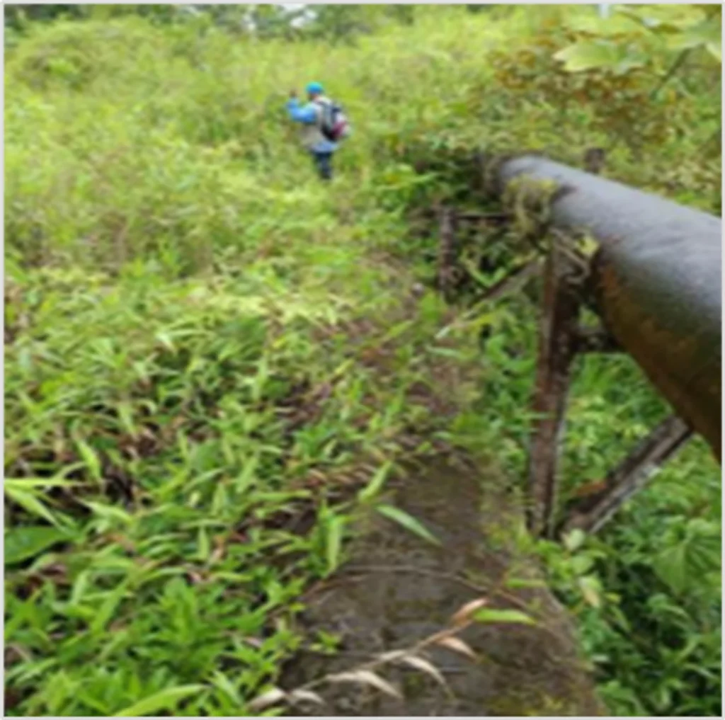 Acueducto de Buenaventura